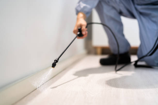 Trusted Amarillo, TX Pest Control Experts