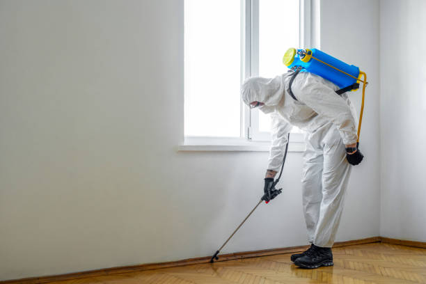 Pest Control Cost in Amarillo, TX