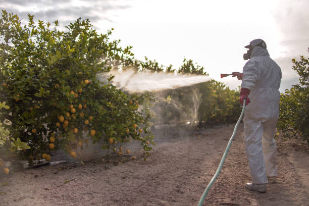 Best Rodent Control Near Me  in Amarillo, TX