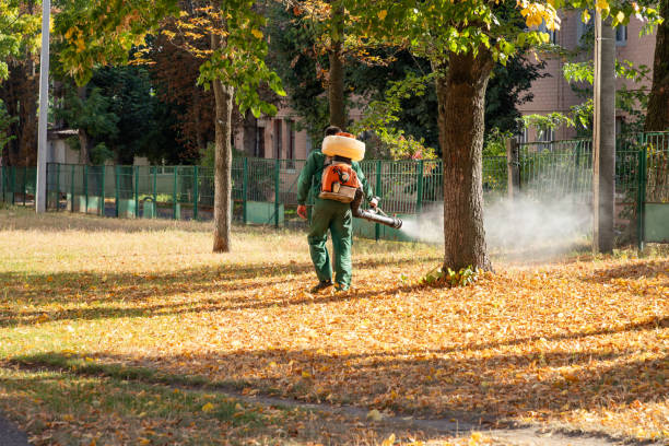 Best Wasp Removal Services  in Amarillo, TX