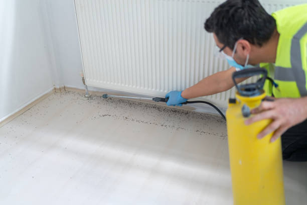 Best Pest Inspection Near Me  in Amarillo, TX